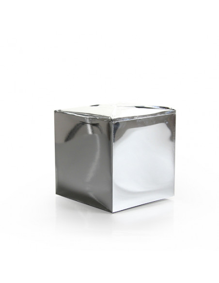 Cubes polystyrènes 